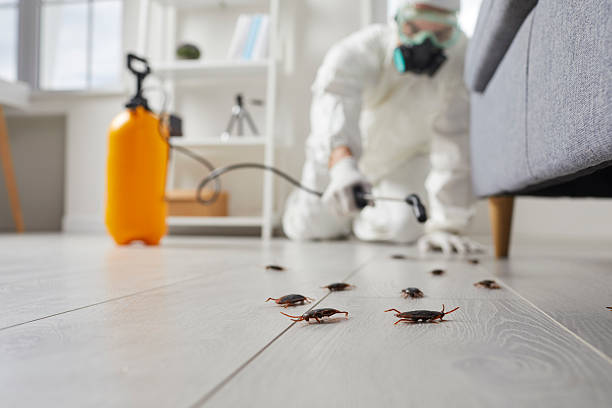 Commercial Kitchen Cockroach Control in Casey